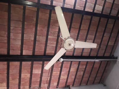 Ceiling Fan