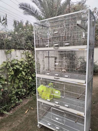 Lovebirds Cages