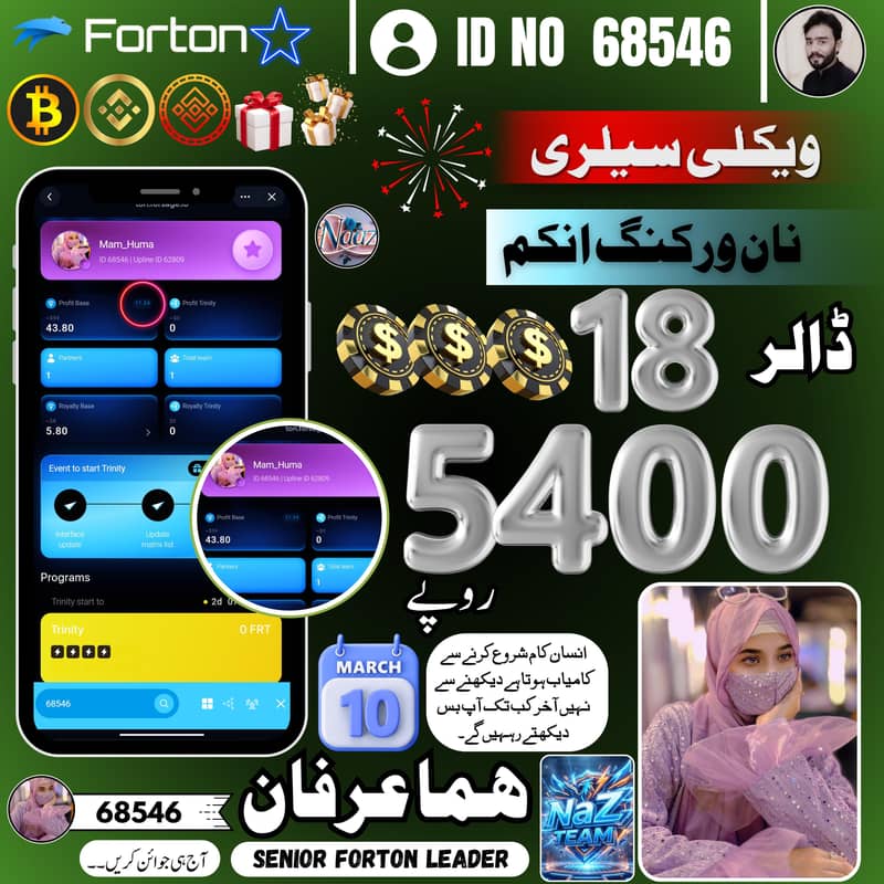 آپ بھی ہماری طرح گھر بیٹھے ڈالرز کمائیں اور اسی ٹائم ودڈرا حاصل کریں 4