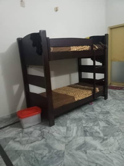 Bunker Double Bed for Kids and elders with Molty Foam Mattresses