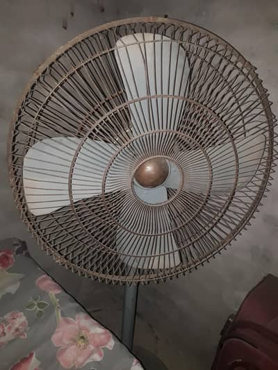 Pedestal Fan