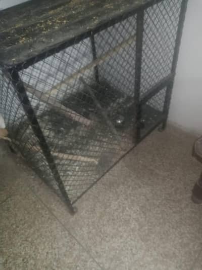 iron cage boht mazboot bna ha jali b boht strong 3ft/dhai f03105018329