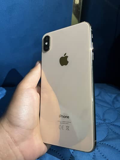 XS MAX PTA GOLDEN COLURE