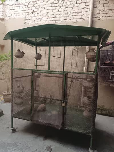Parrots cage large size