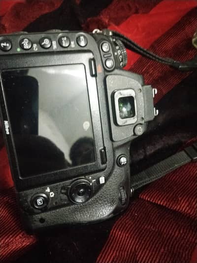 Nikon D750 with 150 600 g2 lens