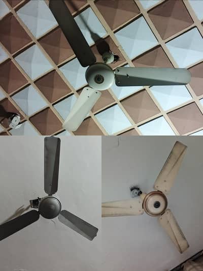 Ceiling Fans None Repair