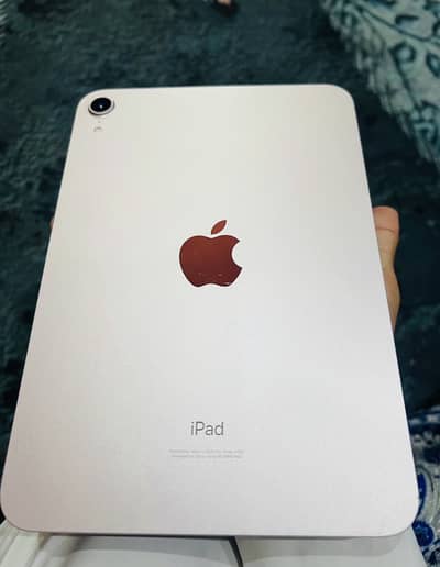 iPad mine 6