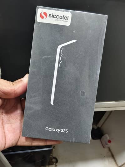 Samsung S25 Silver Shadow Colour