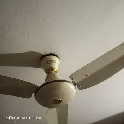 pak fan  new