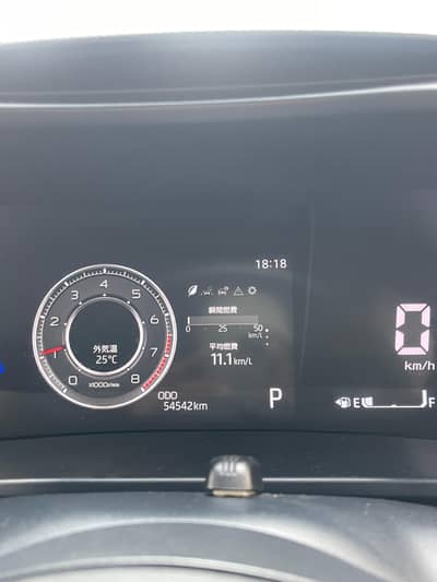 Raize Z 2020 Black 4.5 Grade