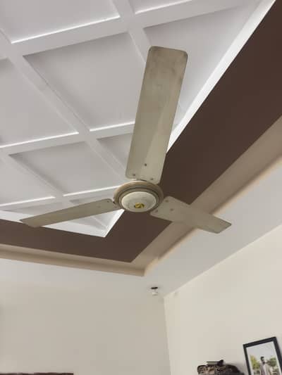 Ceiling fans good condition