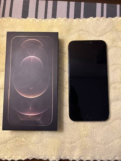 iPhone 12 Pro Max PTA Approved