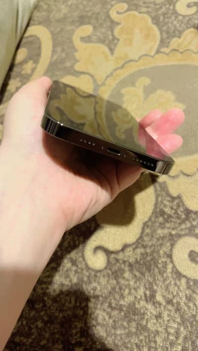 IPhone 13 Pro Max 256gb 100% battery health PIA approve