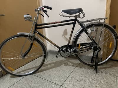 Caballo sapphire 22”