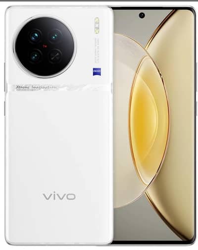 Vivo X90s 12+12/256 non pta