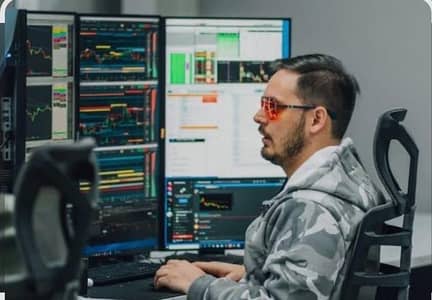 invester point profit 100%