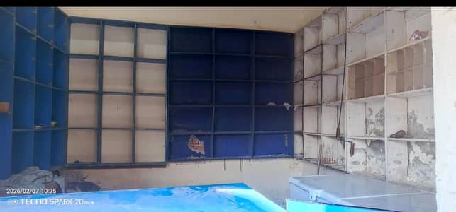 Rack total 6  ( 3 wood) ( 3 palai )