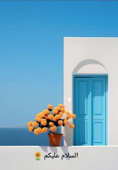 samsung tv lounch k leay ha