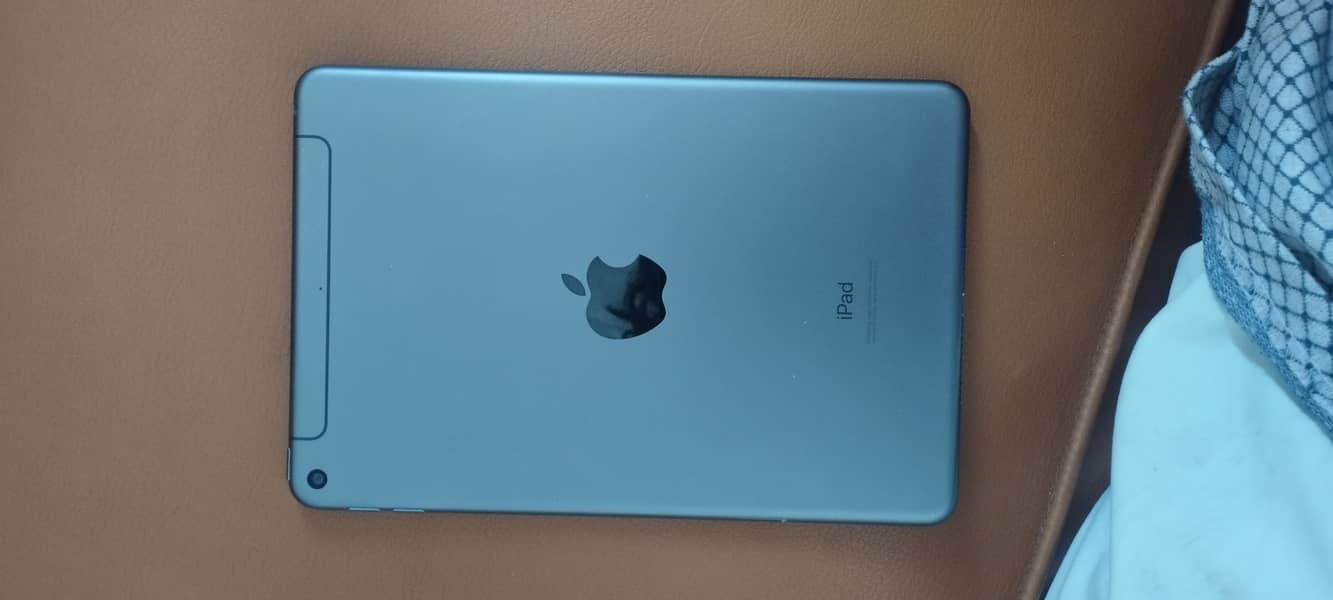 Ipad mini 5 0