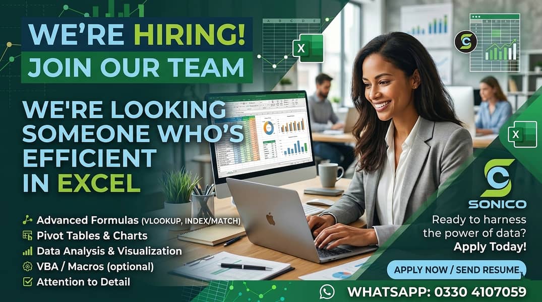 Looking for Excel & computer expert 0