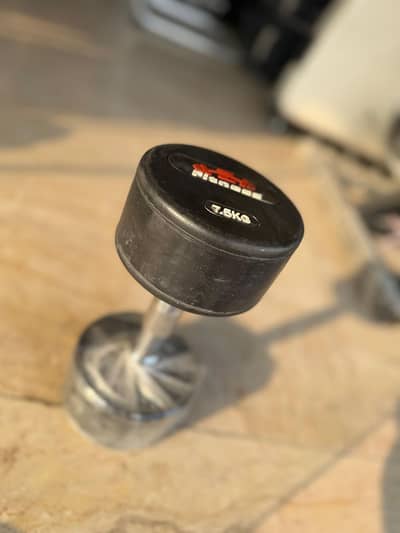 Dumbbells & Weight Plates Available – 450 Rs Per KG