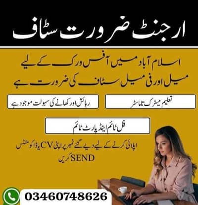 urgent staff required for office work in