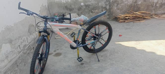 sport