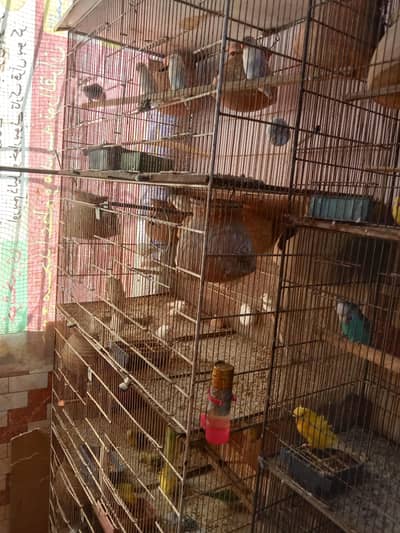 4 postion 6 by 3 fit h or 1 cage 1.5 by 1 h 4 postion h 2no cage choty