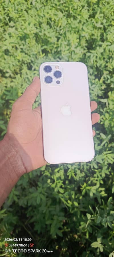 12 pro max 03449786513 only call no olx chat