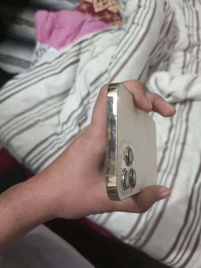 ip 12 pro max exchange possible with pixel 6pro and pixel 8