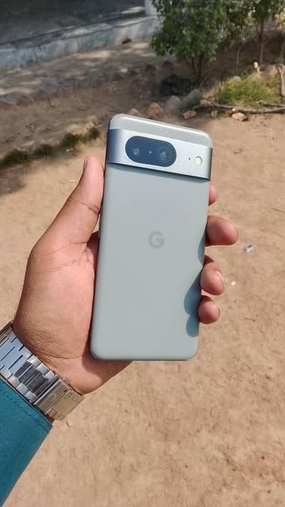 google pixel 8 official PTA approved