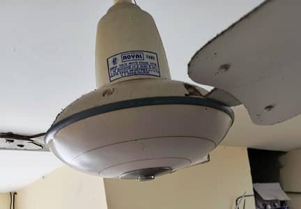 ceiling fan for sale Royal fan hai