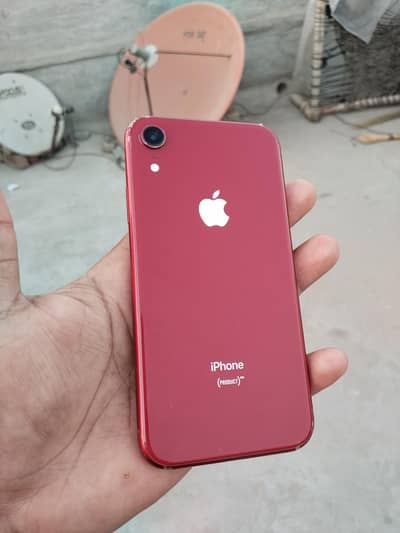 iPhone XR (Product Red) – Lush Condition | Final 40,000