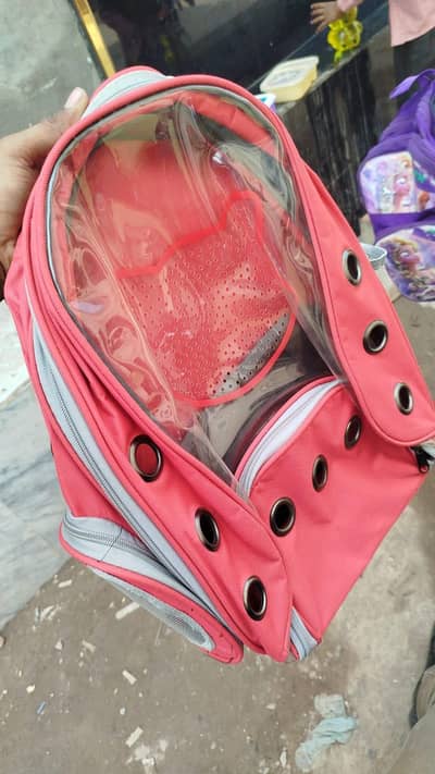 Cat Traveler bag and Home