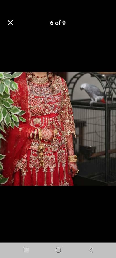 Bridal Dress | Wedding Dress | Bridal Dress| Barat Dress | Bridal