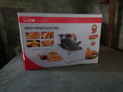 Electric Fryer