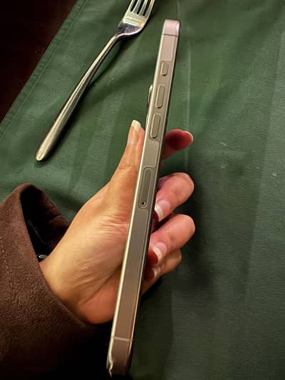 Iphone 16 pro max 256gb