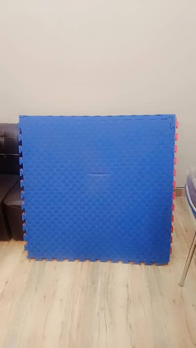 Invincible Heavy Boxing Punching Bag + 12 Gym Mats