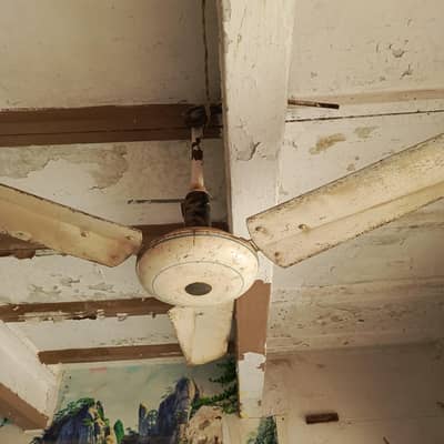 220v Ceiling fan for sale