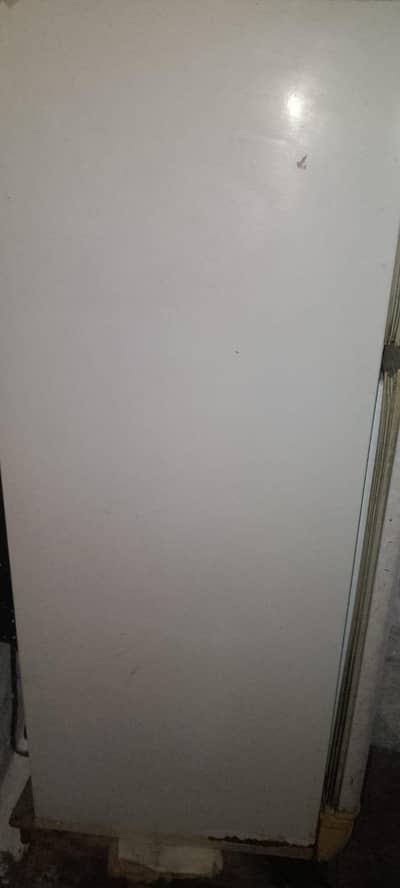 refrigerator or freezer