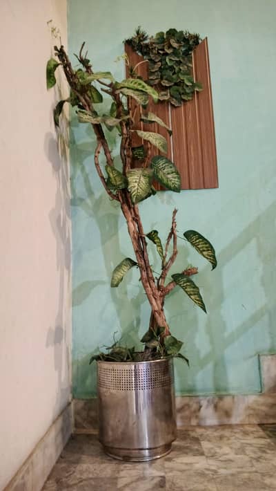 Artificial plant With silver Pot