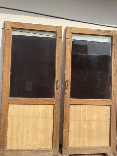 2 glass doors with tinted paper (huge size)