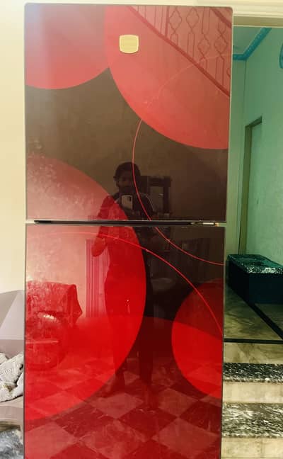 General  fridge large size