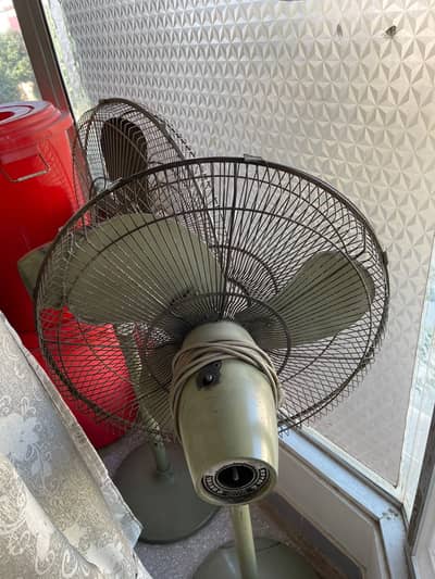 Royal and pak fan pedestal fans