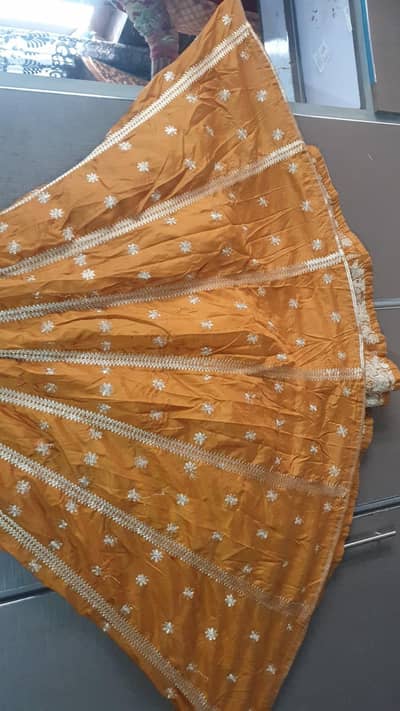 Embroidered Lehnga