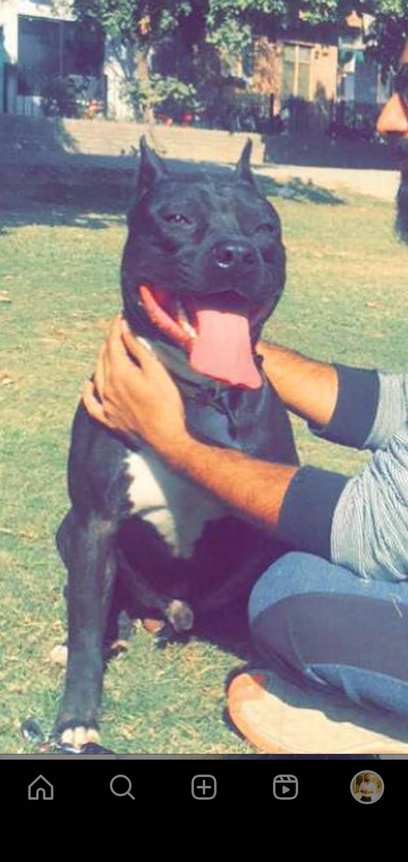 available for stud 0