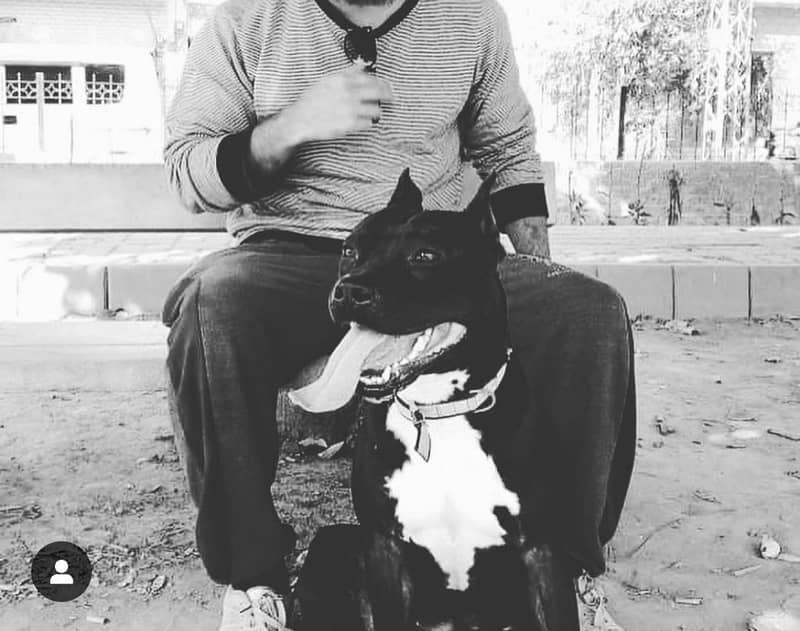 available for stud 1