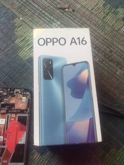 oppo A16