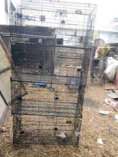 8 portion cages. . zarar