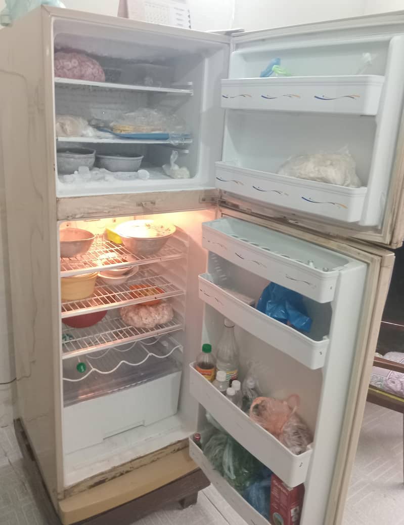 fridge 10/10 4